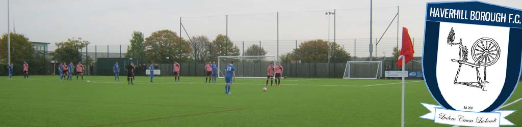 New Croft 3G Pitch